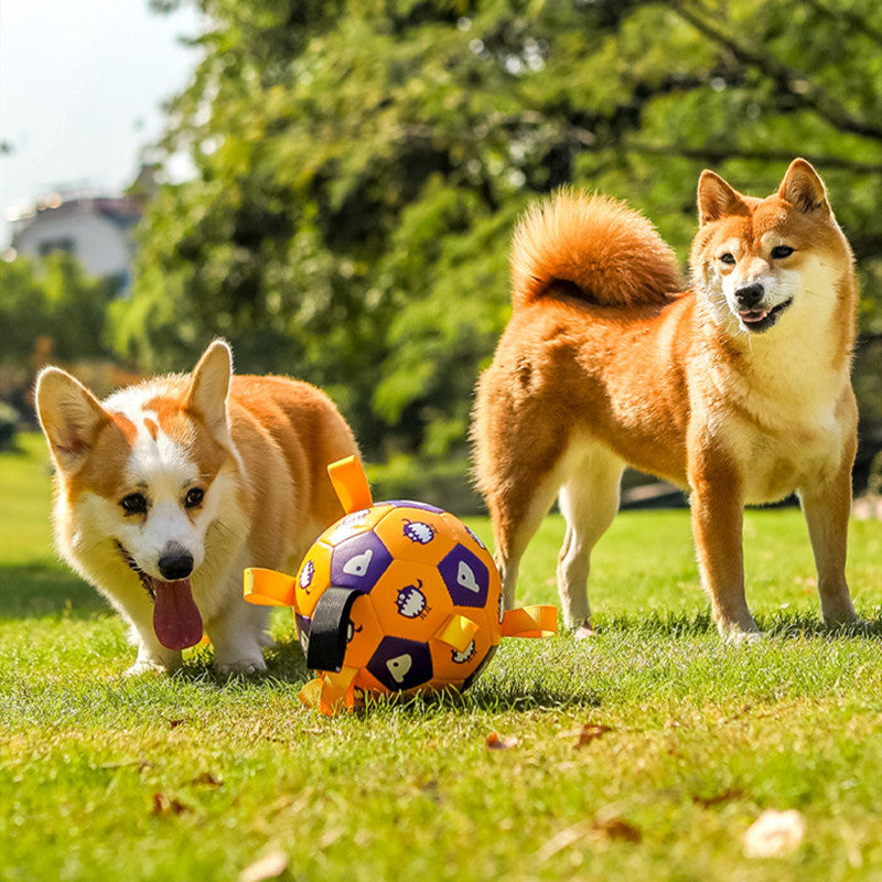 Fun Playtime With Engaging Pet Toys